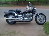 2001 Yamaha XVS 650 Drag Star photo